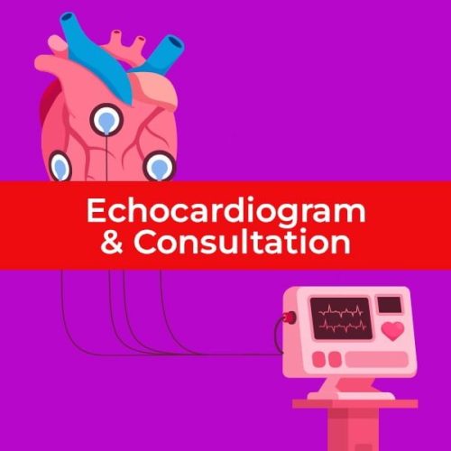 13_echocardiogram-&-consultation
