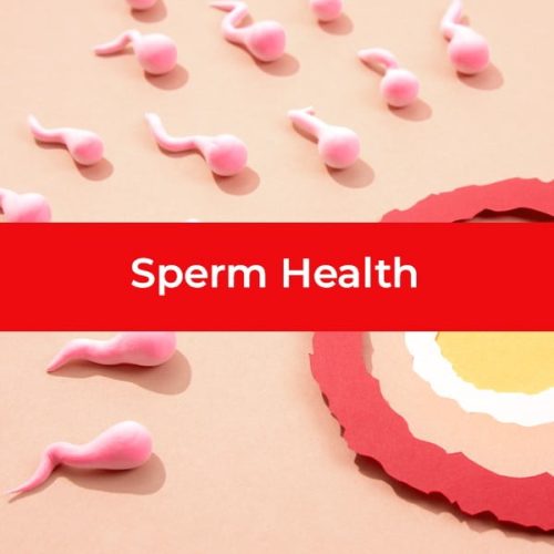30_sperm-health